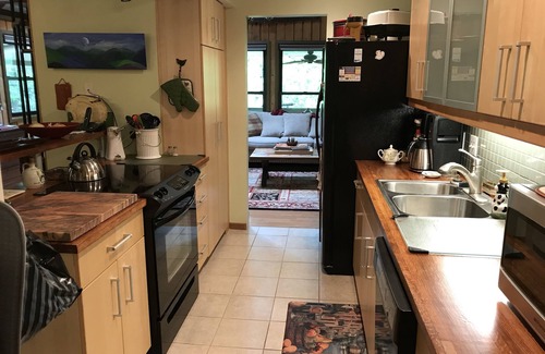 Pisgah Forest House | White Squirrel Lodge - Family friendly, pond & stream, breezy porches & wildlife