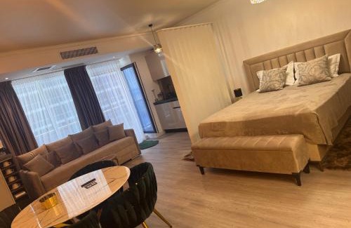 Mamaia-Sat Hotel | White Titanic 5 stele