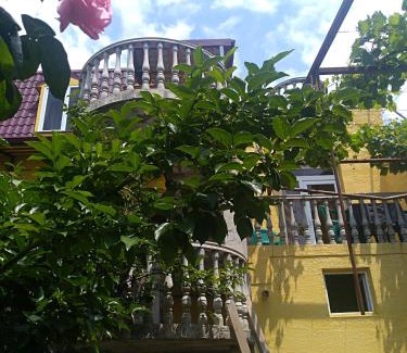 Tbilisi House | Why Me Eco-friendly Rooms