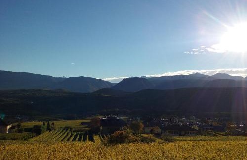 Caldaro Sulla Strada del Vino Apartment | Wiesmüllerhof