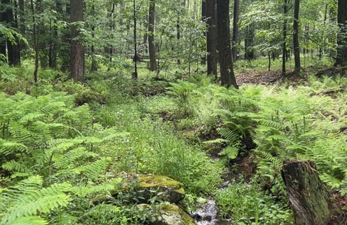 Leeper House | Wild Garden Glamping: Honeycomb