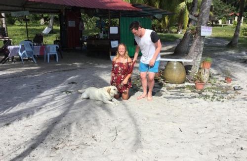Pulau Tuba Hotel | Wild Pasir Panjang