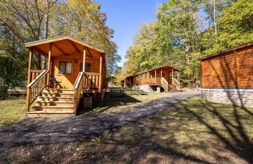 Spotsylvania Condo | Wilderness Resort Lake View Cabins offer lovely views of the Cool Springs Lake.