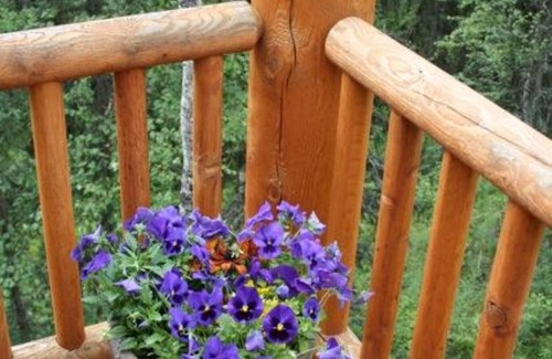 Soldotna Ski Chalet | Wilderness setting yet only minutes from Soldotna Alaska and Kenai River