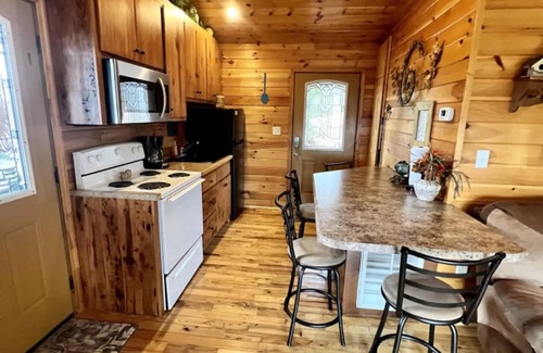 Bryant Cabin | Wildflower Cabin – Hot Tub & Mountain Views