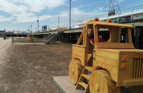 Cape May - Wildwood Apartment | WildWoof Beach Bungalow - 3 Blocks to Beach