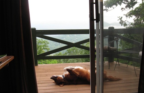 Screamer Mountain Cabin | Williebear Cabin
