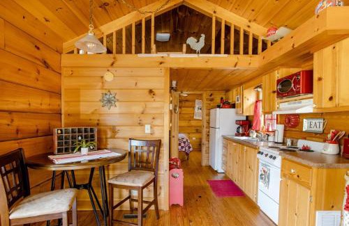Asheville House | Willow Pond Cabin that is peaceful and quiet