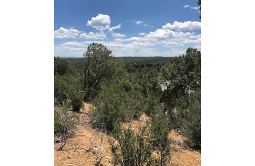 Timberland Acres Cabin | Windy Ridge at Timberland acres