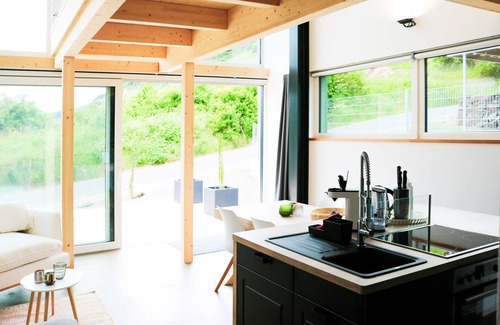 Pommern House | Winery Vacation - Mosel Chalet Berg, fantastic Vineyard view, full house