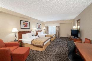 Paw Creek Hotel | Wingate by Wyndham Charlotte Airport