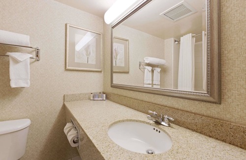 Paw Creek Hotel | Wingate by Wyndham Charlotte Airport I-85/I-485