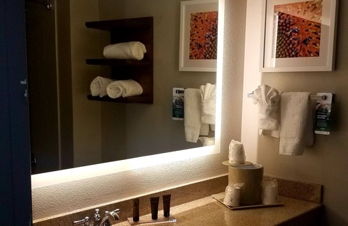 Las Colinas Hotel | Wingate by Wyndham DFW/North Irving