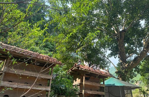 Vi Xuyen Bed & Breakfast | Wins house