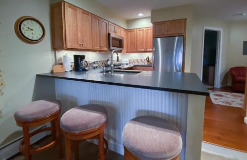 Ludlow Apartment | Winterplace Condos K