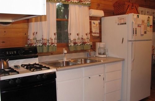 Buena Vista Cabin | Wintersong Cabin #4 near Main St Skiing & Hot Spgs. Ask about last minute deals?