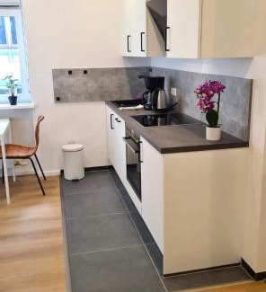 Passau Apartment | Wohnung Ilz - im Zentrum, Parkplatz, Küche, getrennte Betten