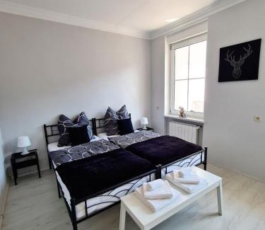 Bad Muenster am Stein-Ebernburg Apartment | Wohnung mit Blick auf den Rheingrafenstein