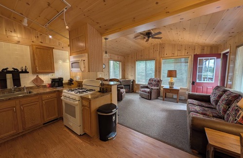 Sayner Cabin | Wolf Point Cabin | Firepit, Hammock, Lake Access, Dogs OK w/fee