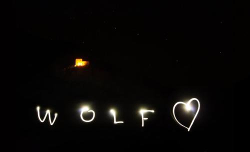Ladis Apartment | wolf.tirol