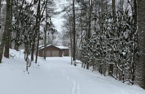 Mountain City House | Wonderful cabin tucked in the woods/w Hot tub