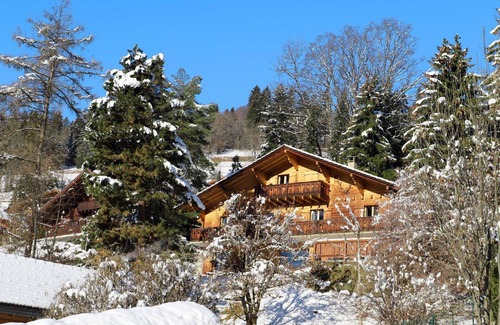 Chesieres House | Wonderful private villa for 12 people with WIFI, balcony and parking