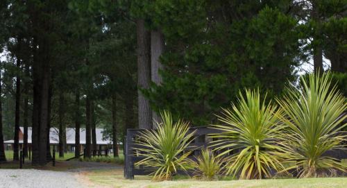 Hanmer Springs Ski Chalet | Woodbank Park Cottages