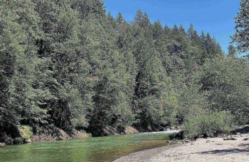 Marmot House | Wooded Riverside Retreat, Pet Friendly, Single Level, Open Layout, Hot Tub, BBQ, 20 Miles to Mt Hood