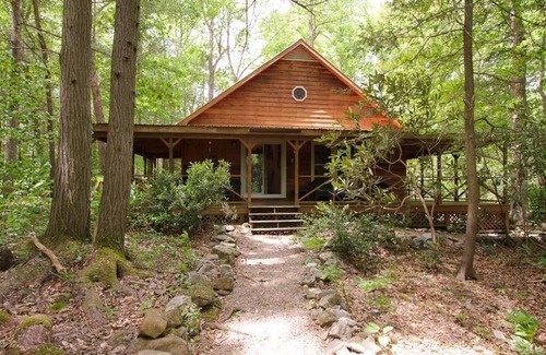 Cosby Cabin | Wooded Setting - Mountain Stream - Real Fireplace - Privacy