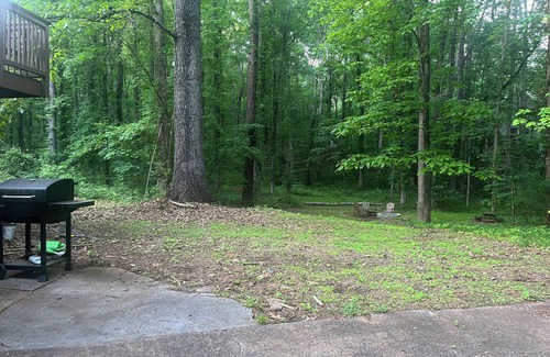 Acworth House | Woodland cottage near LakePoint Sports Complex & Butterfly Pavilion