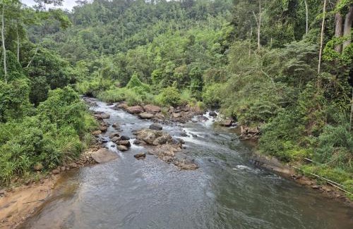 Kotapola House | Woodland Hideaway in Sinharaja