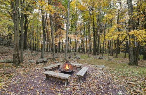 Lake Harmony Estates House | Woodland Oasis by AvantStay Hot Tub Firepit Walk to Lake