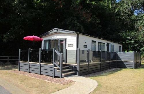 Paignton Resort | Woodland View Exec Van - Hot Tub - Private Parking - Hoburne Devon Bay