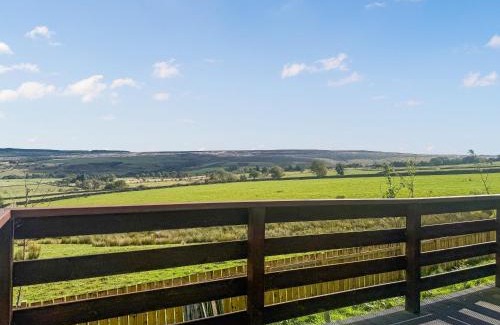 Hexham House | Woodland View Lodge - Uk50579