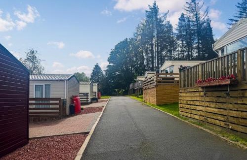 Hexham House | Woodland View Lodge - Uk50579