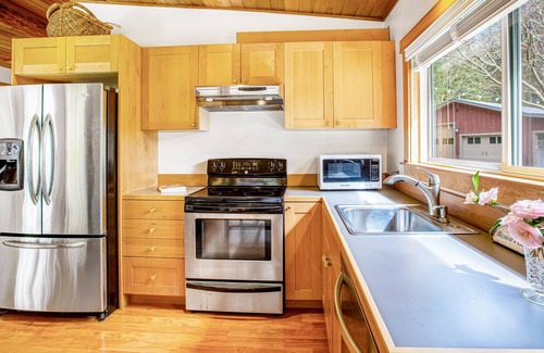 Langley Cottage | Woodsy studio with high-speed WiFi, gas fireplace, and shared grill