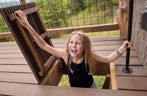 Sevierville Cabin | World's First Interactive Treehouse Experience! Air Fort One ✈️