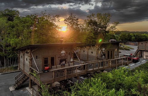 Sevierville Cabin | 🙉World's First Interactive Treehouse Resort! Tarzan & Jane! 🐘🦓