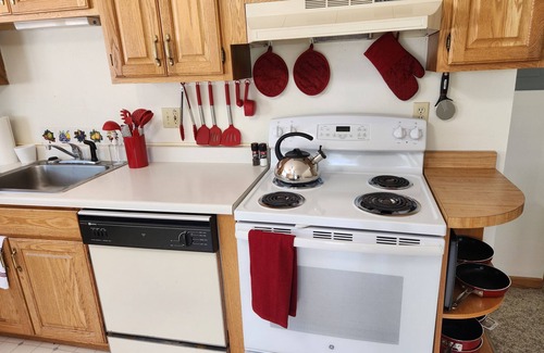 Houghton Apartment | WP1 EV Ready Group Option Near MTU – Perfect Keweenaw Adventure Basecamp!
