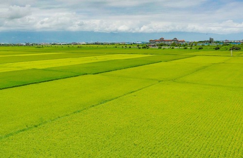 Zhuangwei Bed & Breakfast | Wudai Homestay