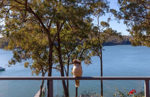 North Arm Cove House | Wybalena - set on a deep-water frontage in North Arm Cove