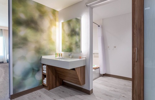 Florida Center Hotel | Wyndham Garden Orlando Universal/I Drive
