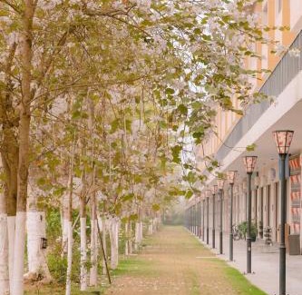 Thanh Thuy Apartment | Wyndham Lynn Times Thanh Thủy Onsen Sweet Home