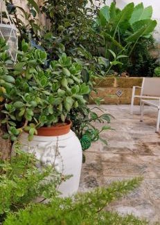 Trepuzzi House | Xenia Boutique Apartment