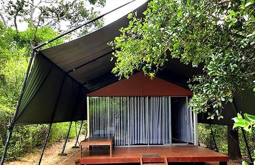 Palatupana Hotel | Yala Ravana AC Luxury Tented Safari Camp
