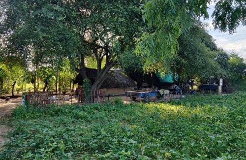 Palatupana Other | Yala Sappayama Campsite