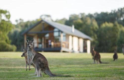 Yering Apartment | Yering Gorge Cottages
