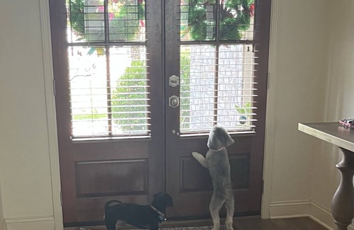 Mandeville House | You found it! Great 3/2 in heart of Mandeville. Bring the family and the pups!