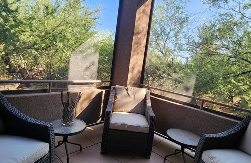 Tucson Condo | Your Serenity in a Sonoran Oasis