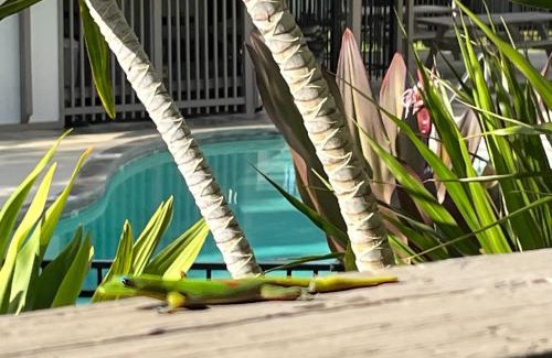 Historic Kailua Village Apartment | Your Slice of Paradise in Kona - Walk to Beach and Stores